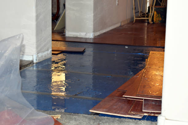 Professional Sewage Cleanup technician working in Hollytree, AL